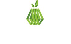 Primofruta, Sociedade Hortofrutícula